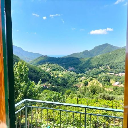 Willa La Casa In Vigna Tramonti Zewnętrze zdjęcie
