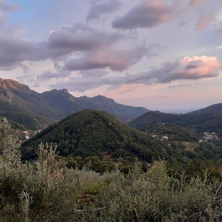 Willa La Casa In Vigna Tramonti Pokój zdjęcie