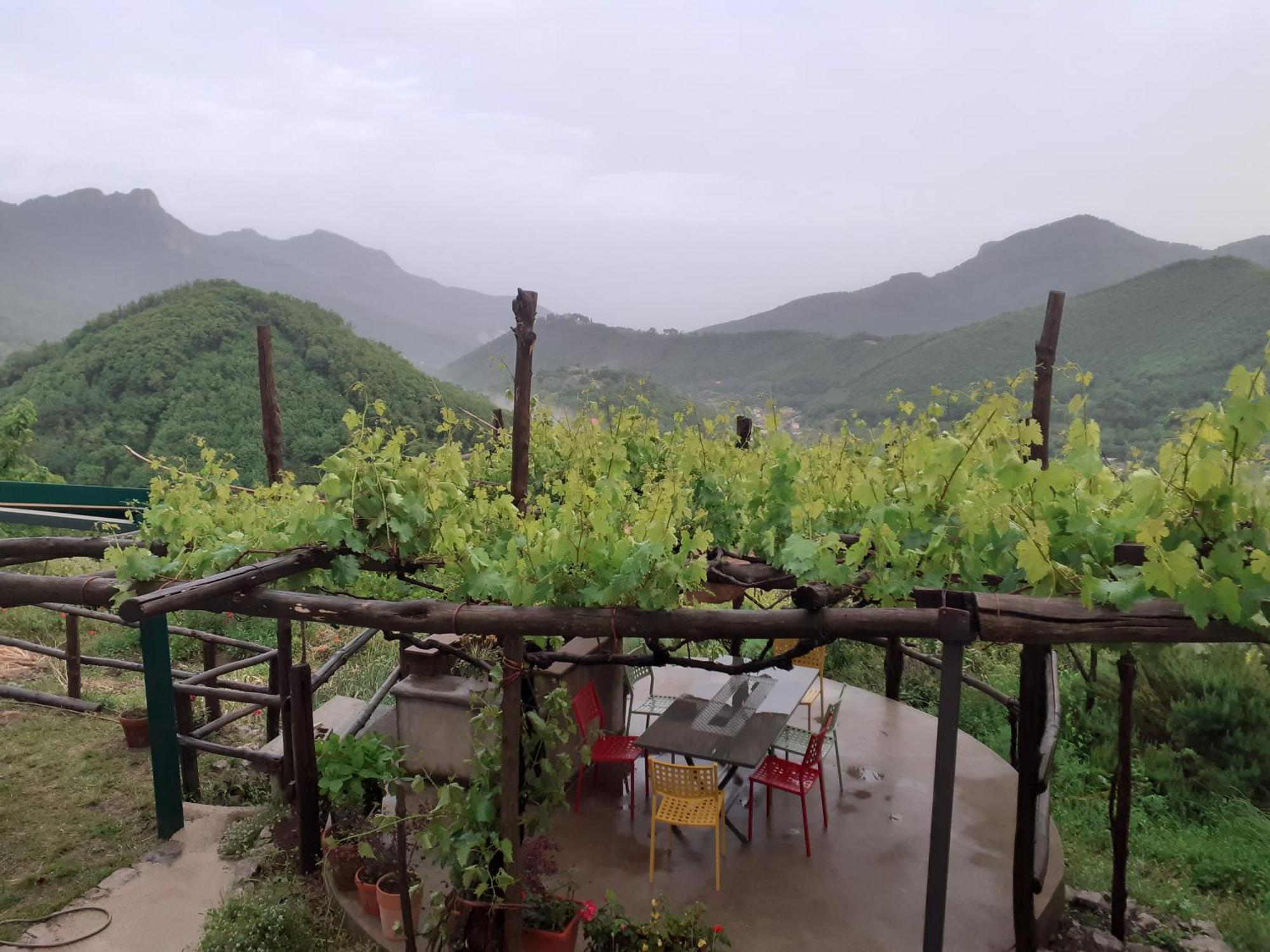 Willa La Casa In Vigna Tramonti Zewnętrze zdjęcie