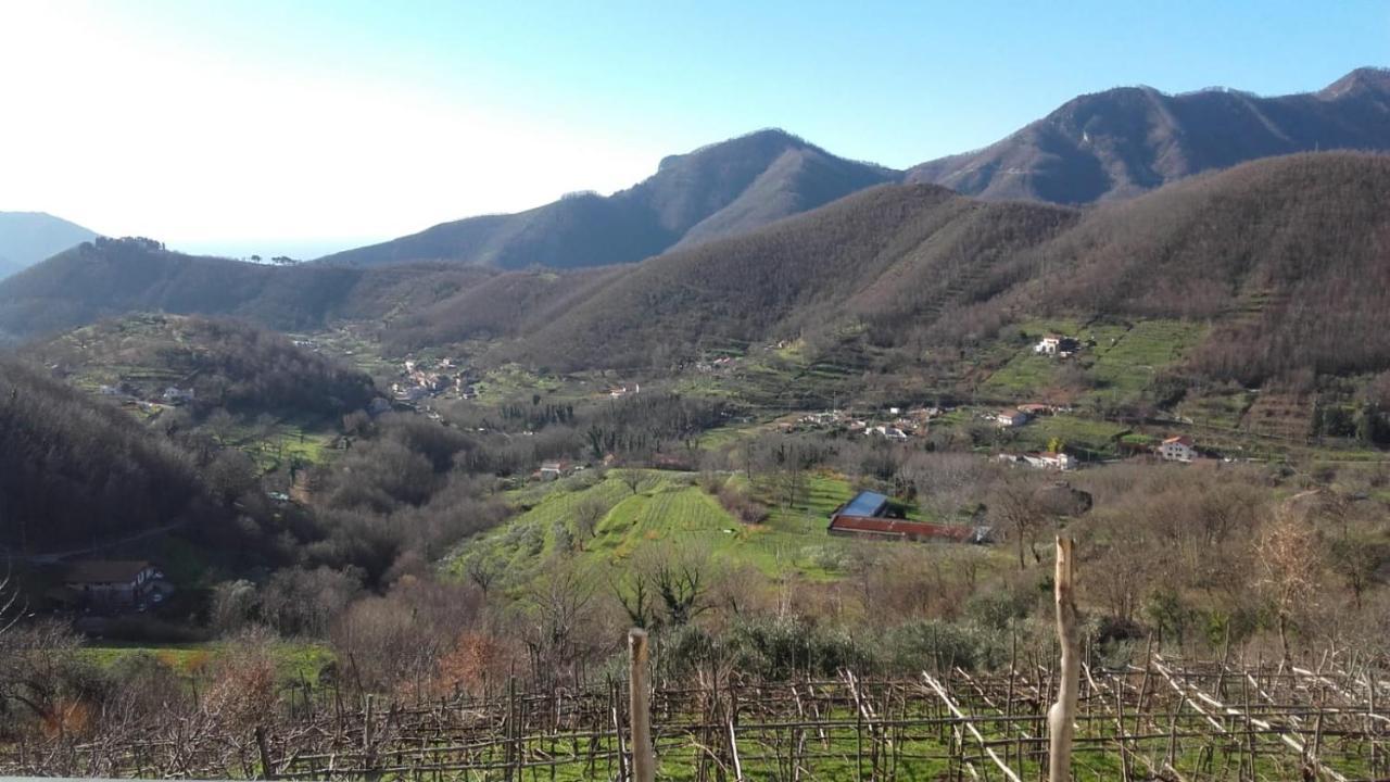Willa La Casa In Vigna Tramonti Zewnętrze zdjęcie